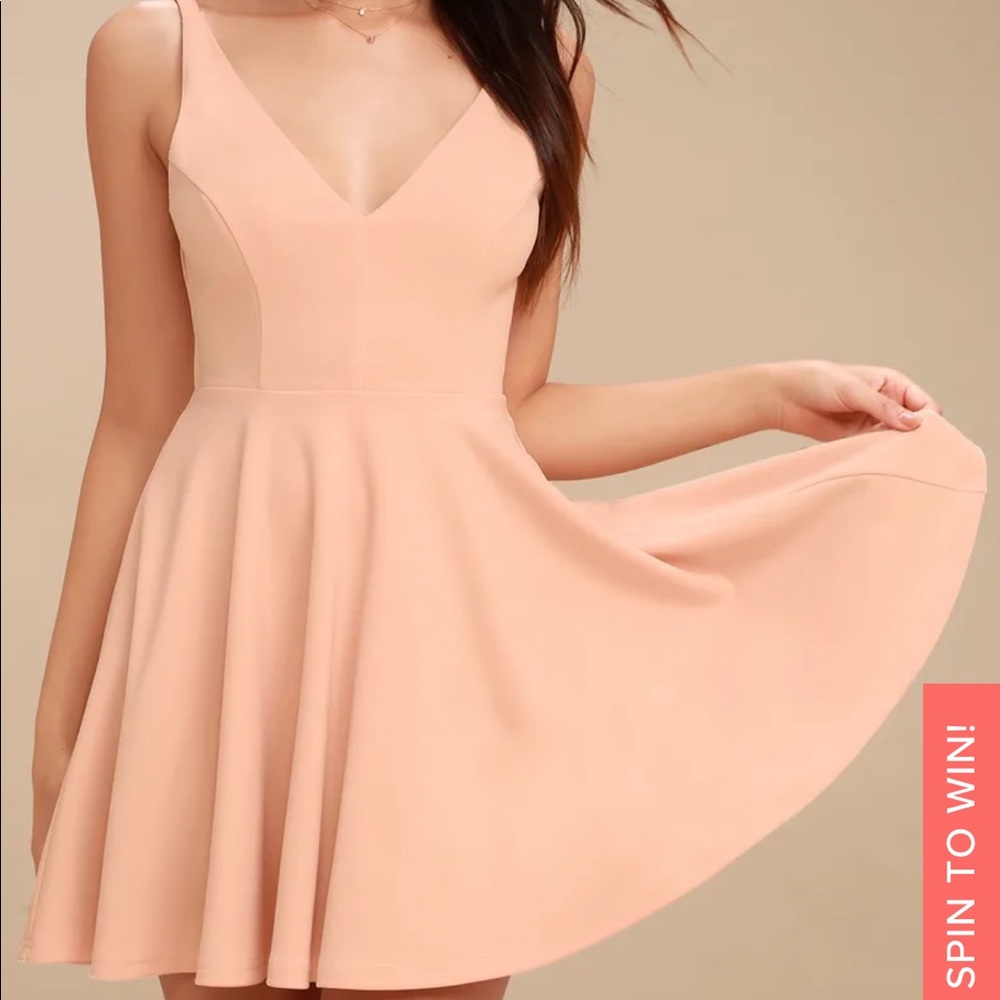 NWT Lulu’s Plus Blush Skater Dress